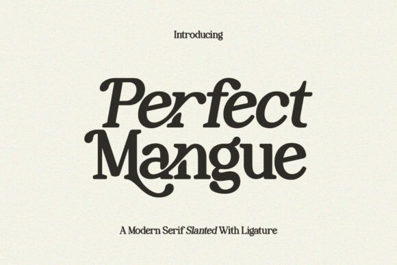 Perfect Mangue: A Serif Font That Commands Attention