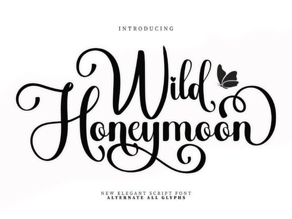 Wild Honeymoon: Capturing Romance in Every Letter